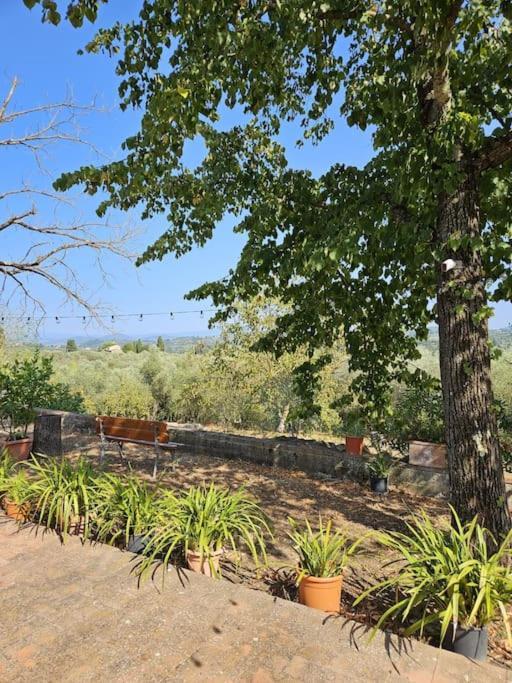Appartamento Casina Rossa Tavarnuzze Esterno foto